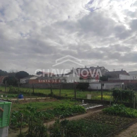 Terreno para Venda em Canelas