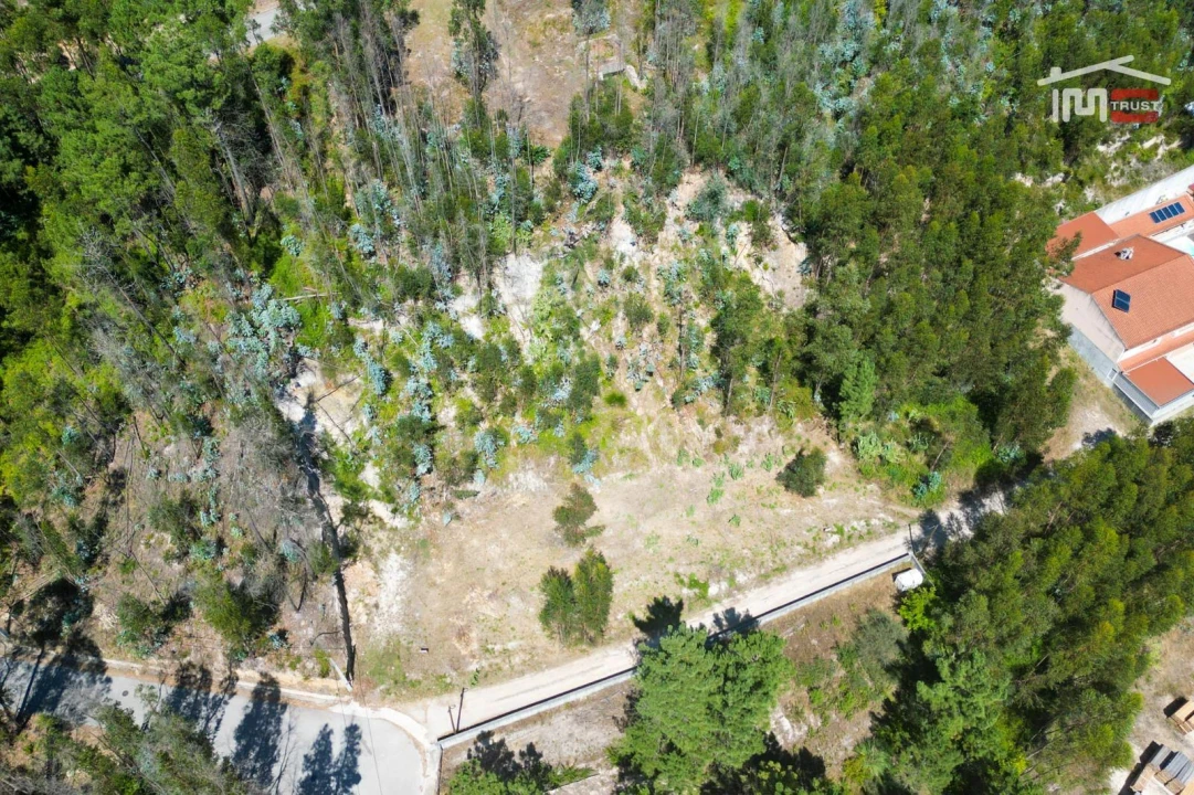 Terreno P/ Prédio para Venda em Caxarias Foto 1