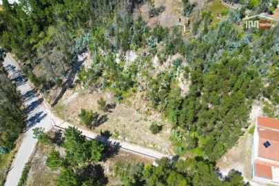 Terreno P/ Prédio para Venda em Caxarias