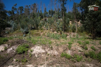 Terreno P/ Prédio para Venda em Caxarias