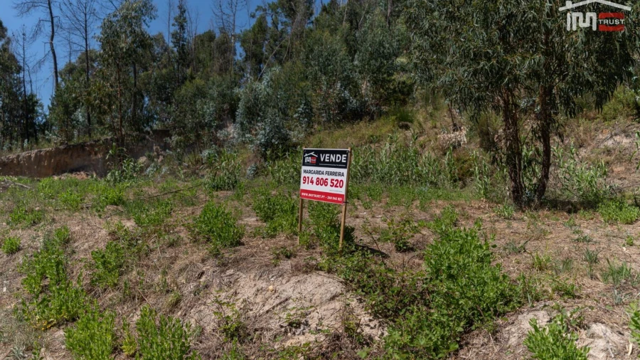 Terreno P/ Prédio para Venda em Caxarias