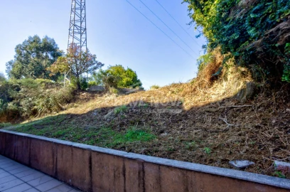 Terreno para Venda em Madalena