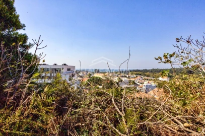 Terreno para Venda em Madalena