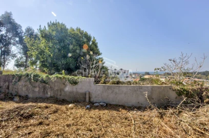 Terreno para Venda em Madalena
