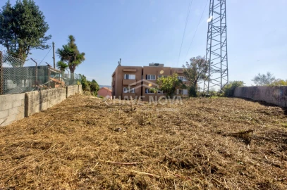 Terreno para Venda em Madalena