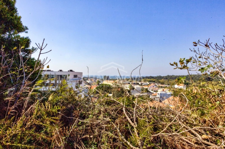 Terreno para Venda em Madalena Foto 14
