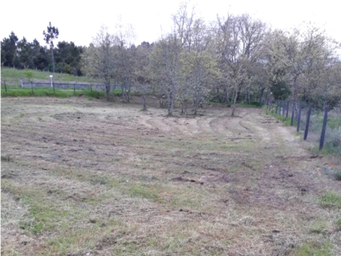 Terreno para Venda em Mouçós e Lamares Foto 20