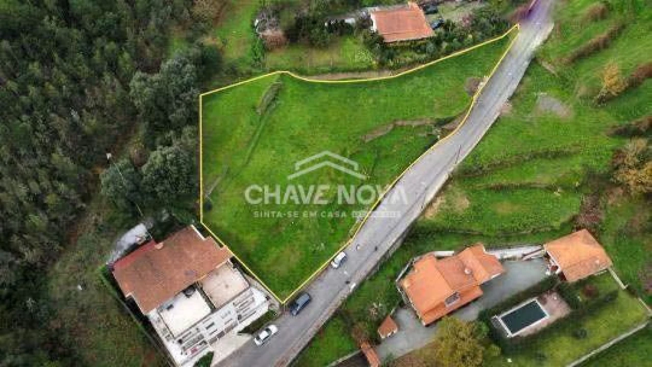 Terreno Agricola ou Rústico para Venda em Foz do Sousa e Covelo Foto 1