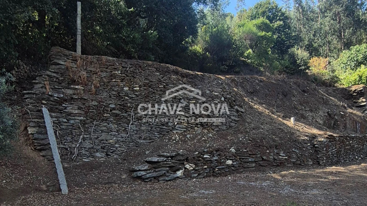 Terreno Agricola ou Rústico para Venda em Foz do Sousa e Covelo Foto 4
