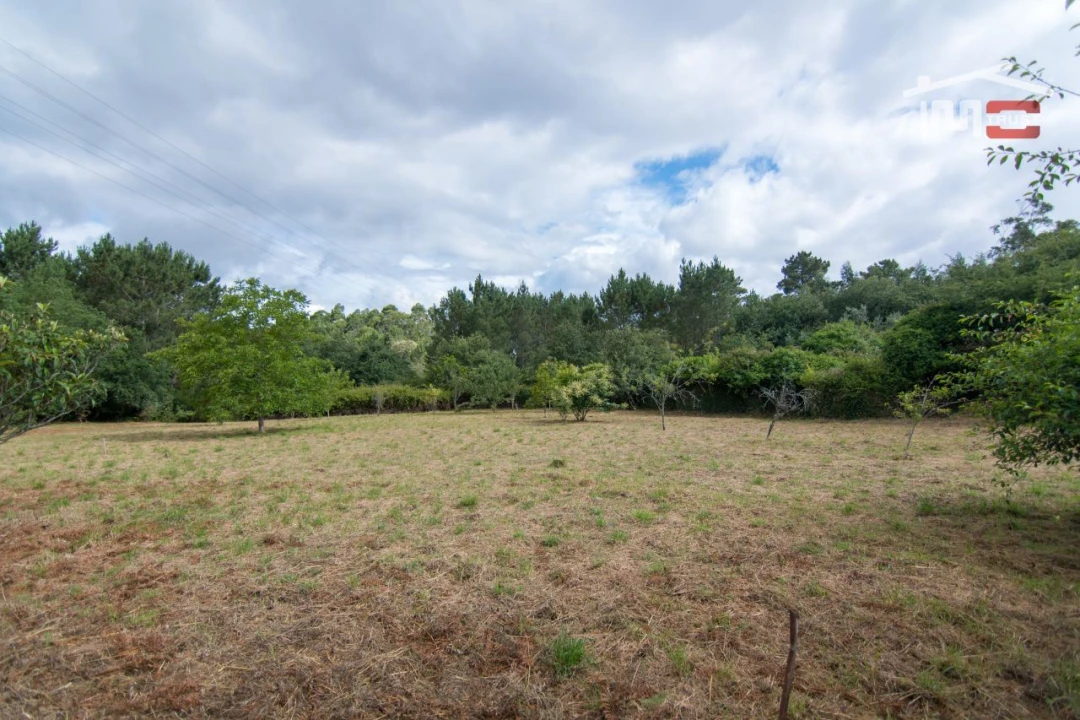 Terreno Agricola ou Rústico para Venda em São Mamede Foto 6