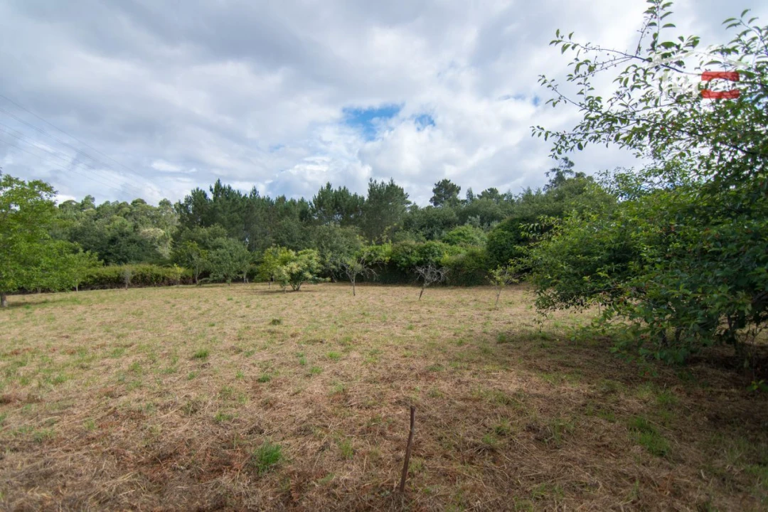 Terreno Agricola ou Rústico para Venda em São Mamede Foto 8