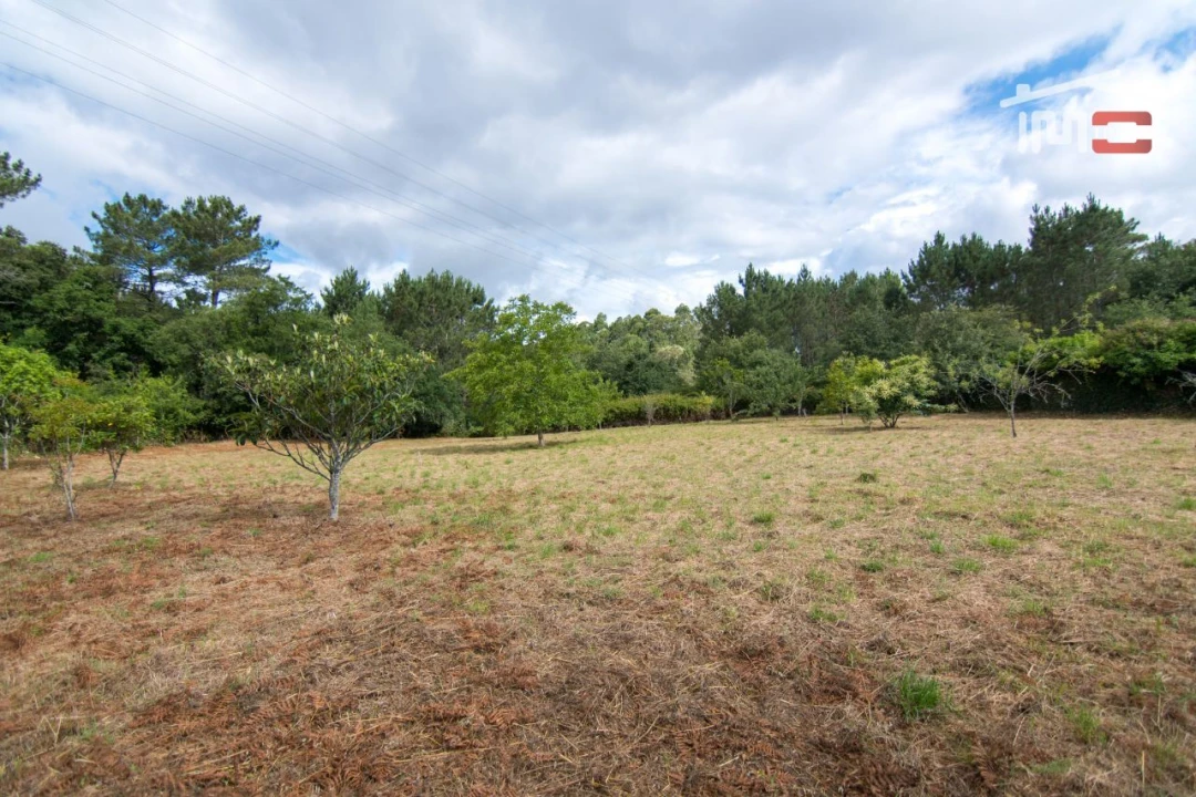 Terreno Agricola ou Rústico para Venda em São Mamede Foto 9