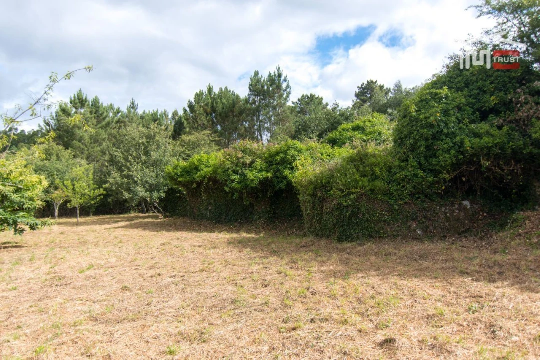 Terreno Agricola ou Rústico para Venda em São Mamede Foto 12