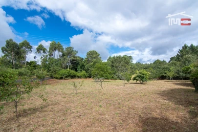 Terreno Agricola ou Rústico para Venda em São Mamede