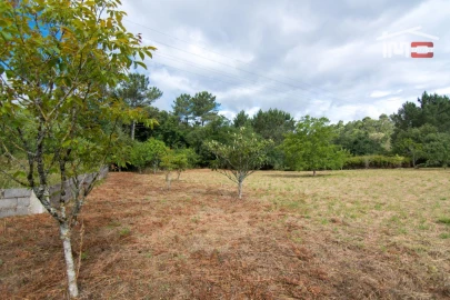 Terreno Agricola ou Rústico para Venda em São Mamede
