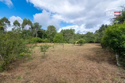 Terreno Agricola ou Rústico para Venda em São Mamede