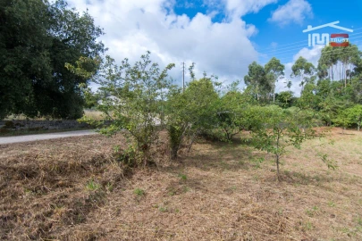 Terreno Agricola ou Rústico para Venda em São Mamede