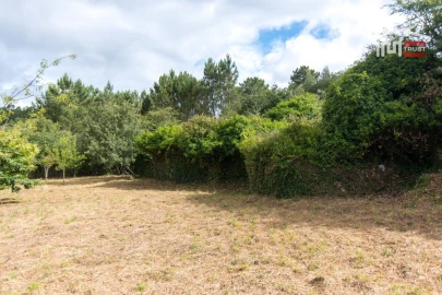 Terreno Agricola ou Rústico para Venda em São Mamede