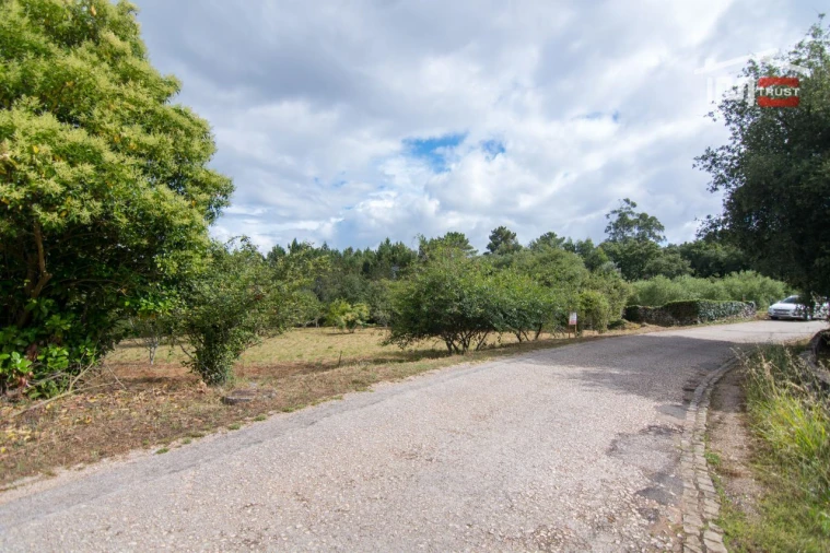 Terreno Agricola ou Rústico para Venda em São Mamede Foto 5