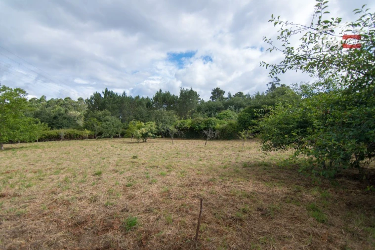 Terreno Agricola ou Rústico para Venda em São Mamede Foto 8