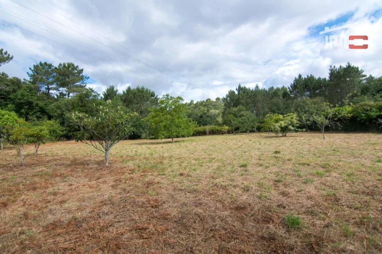 Terreno Agricola ou Rústico para Venda em São Mamede Foto 9