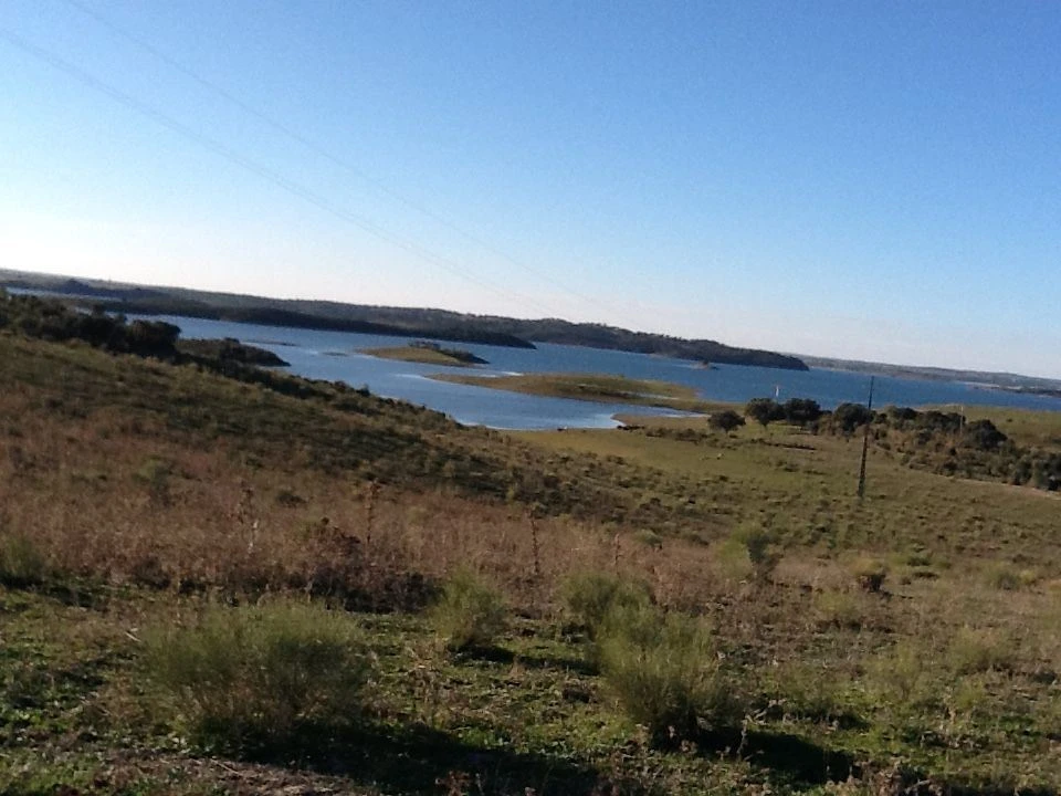 Terreno Misto para Venda em Mourão Foto 23
