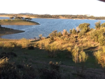 Terreno Misto para Venda em Mourão