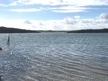 Terreno Misto para Venda em Mourão