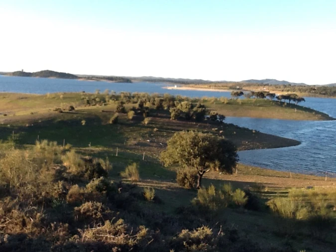 Terreno Misto para Venda em Mourão Foto 3