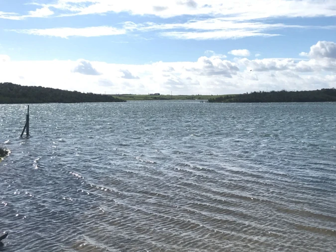 Terreno Misto para Venda em Mourão Foto 9