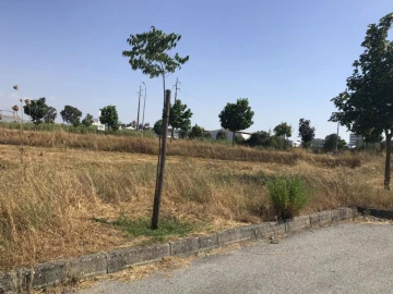 Terreno Misto para Venda em Bacelo e Senhora da Saúde