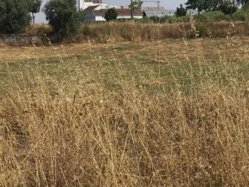 Terreno Misto para Venda em Bacelo e Senhora da Saúde