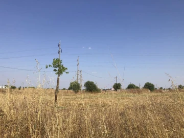 Terreno Misto para Venda em Bacelo e Senhora da Saúde