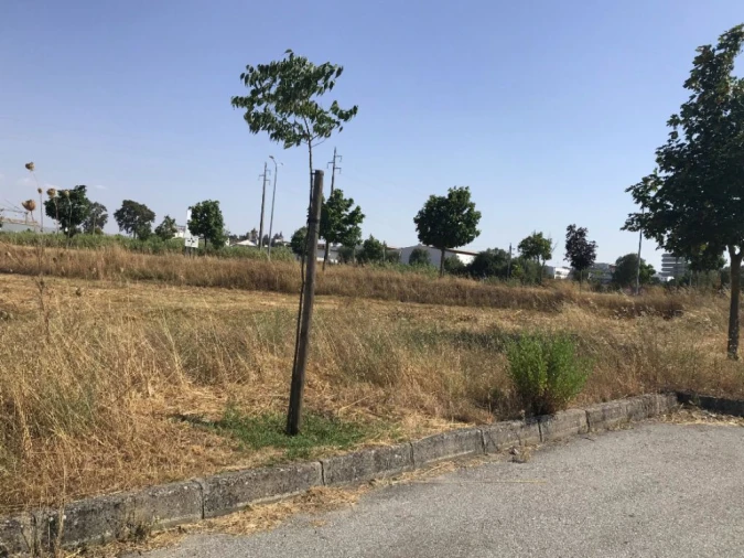 Terreno Misto para Venda em Bacelo e Senhora da Saúde Foto 13