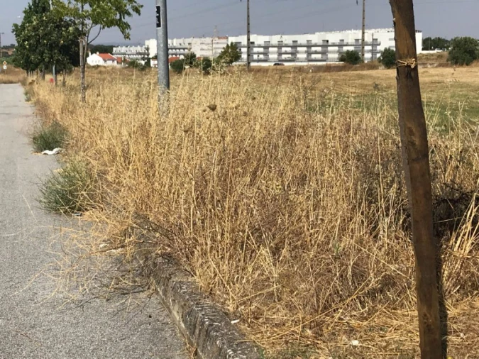 Terreno Misto para Venda em Bacelo e Senhora da Saúde Foto 3