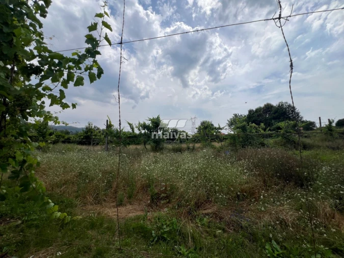 Terreno para Venda em Crespos e Pousada Foto 8