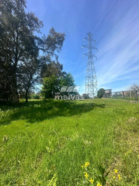 Terreno para Venda em Soutelo