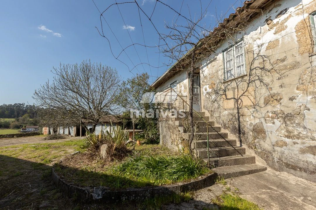 Negócio para Venda em Adaufe Foto 16