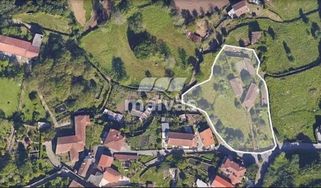 Negócio para Venda em Adaufe