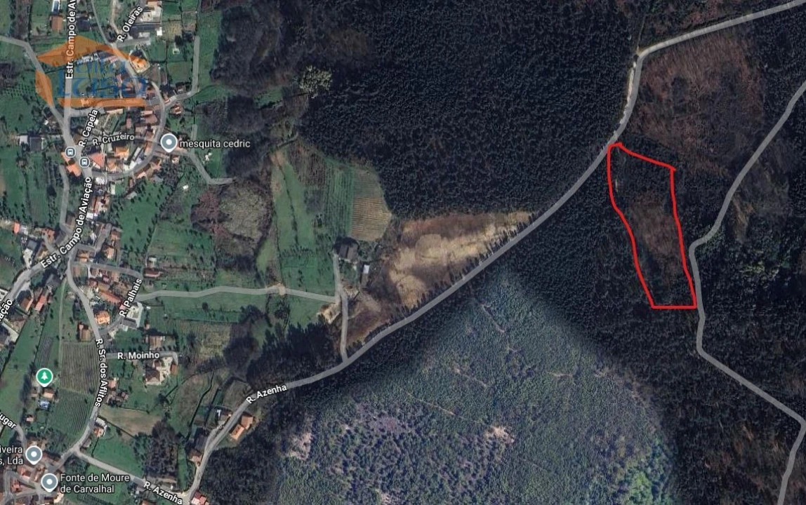 Terreno Agricola ou Rústico para Venda em Mundão Foto 1