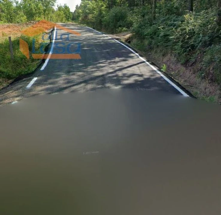 Terreno Agricola ou Rústico para Venda em Mundão Foto 2