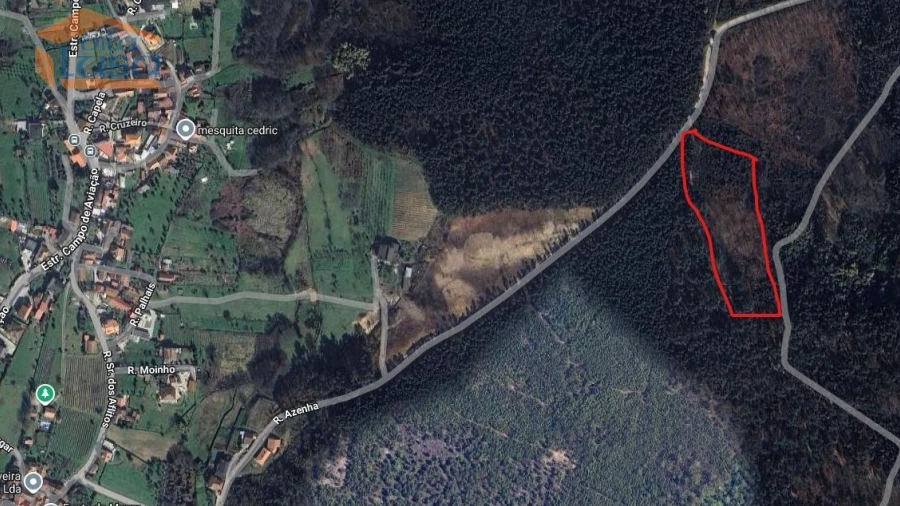 Terreno Agricola ou Rústico para Venda em Mundão