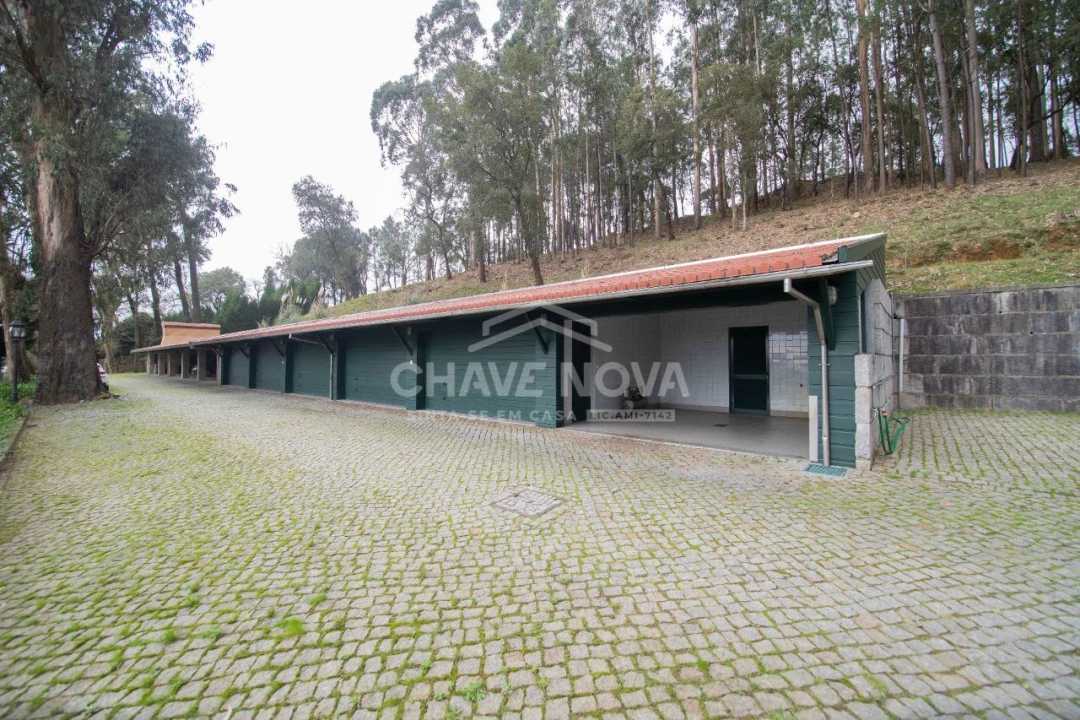 Quinta T11 para Venda em O. Azeméis, Riba-Ul, Ul, Macinhata Seixa, Madail Foto 22