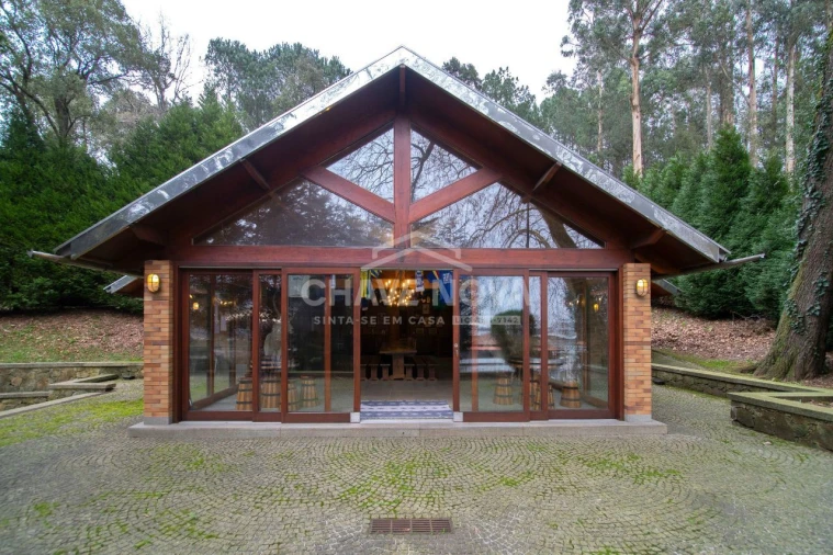 Quinta T11 para Venda em O. Azeméis, Riba-Ul, Ul, Macinhata Seixa, Madail Foto 15