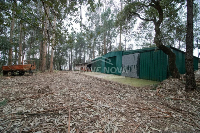 Quinta T11 para Venda em O. Azeméis, Riba-Ul, Ul, Macinhata Seixa, Madail Foto 25