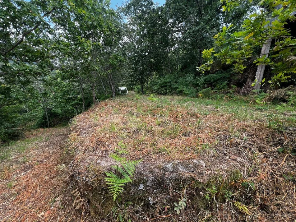 Quinta T3 para Venda em Gondar Foto 13