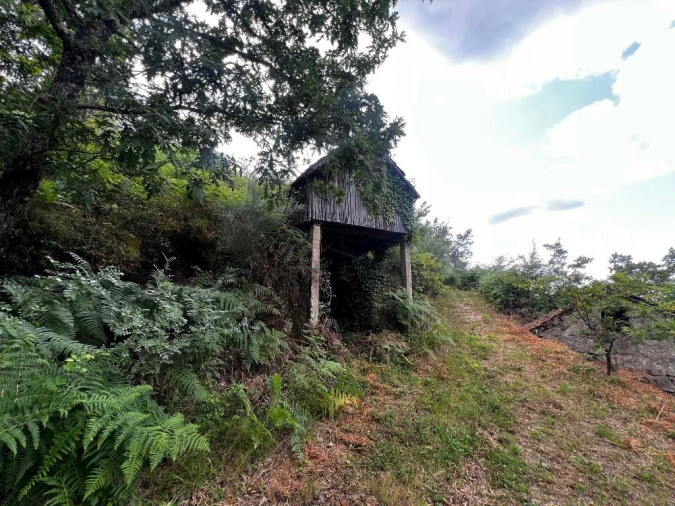 Quinta T3 para Venda em Gondar Foto 8