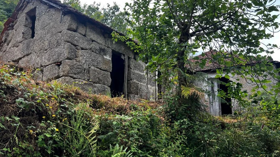 Quinta T3 para Venda em Gondar