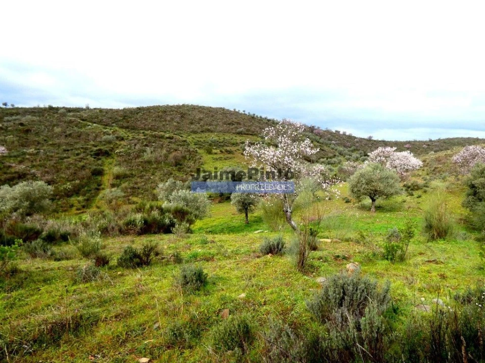 Terreno Agricola ou Rústico para Venda em Touça Foto 4