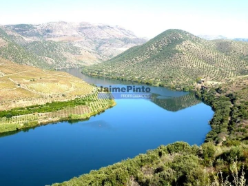 Terreno Agricola ou Rústico para Venda em Touça